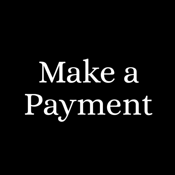 Pre-Buy Vehicle Inspections Payment